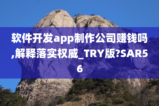 软件开发app制作公司赚钱吗,解释落实权威_TRY版?SAR56