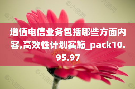 增值电信业务包括哪些方面内容,高效性计划实施_pack10.95.97