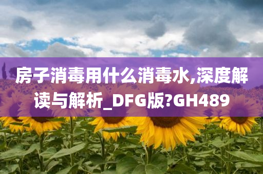 房子消毒用什么消毒水,深度解读与解析_DFG版?GH489