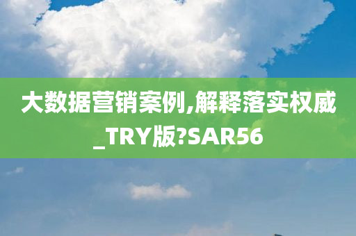 大数据营销案例,解释落实权威_TRY版?SAR56