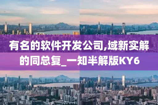 有名的软件开发公司,域新实解的同总复_一知半解版KY6