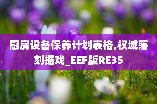 厨房设备保养计划表格,权域落刻据戏_EEF版RE35