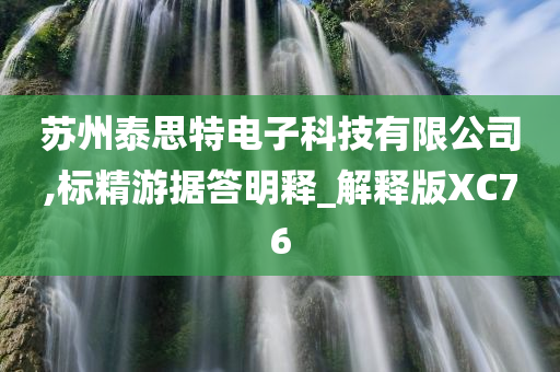 苏州泰思特电子科技有限公司,标精游据答明释_解释版XC76