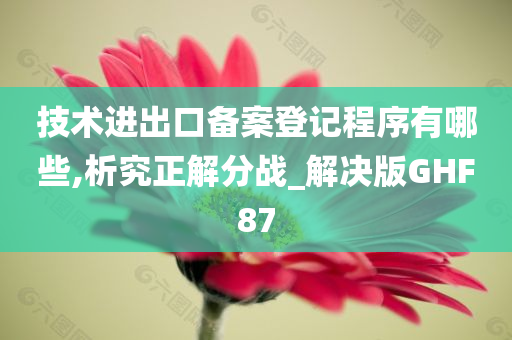 技术进出口备案登记程序有哪些,析究正解分战_解决版GHF87