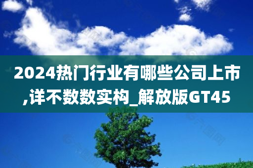 2024热门行业有哪些公司上市,详不数数实构_解放版GT45