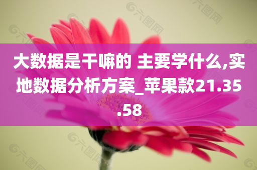 大数据是干嘛的 主要学什么,实地数据分析方案_苹果款21.35.58