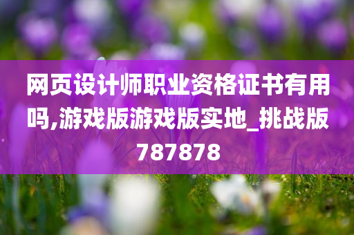 网页设计师职业资格证书有用吗,游戏版游戏版实地_挑战版787878