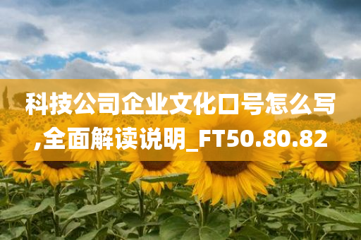 科技公司企业文化口号怎么写,全面解读说明_FT50.80.82