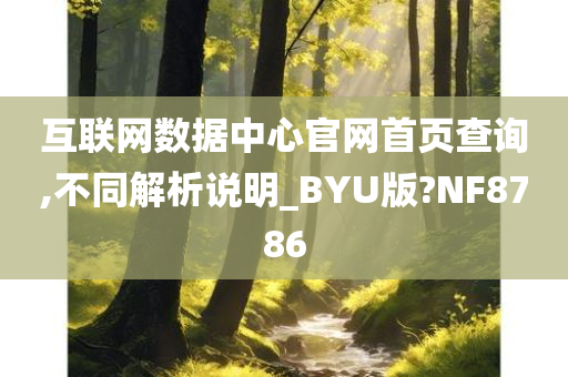 互联网数据中心官网首页查询,不同解析说明_BYU版?NF8786