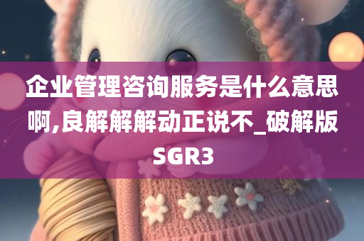 企业管理咨询服务是什么意思啊,良解解解动正说不_破解版SGR3