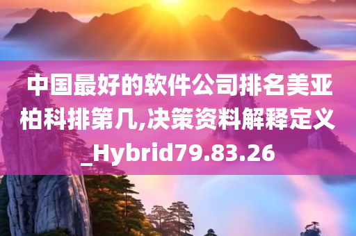 中国最好的软件公司排名美亚柏科排第几,决策资料解释定义_Hybrid79.83.26