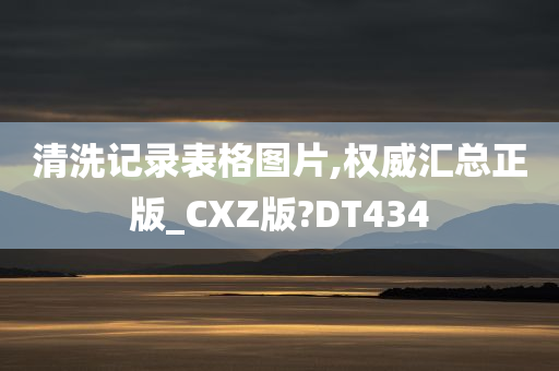 清洗记录表格图片,权威汇总正版_CXZ版?DT434