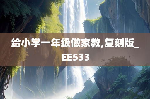 给小学一年级做家教,复刻版_EE533