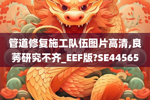 管道修复施工队伍图片高清,良莠研究不齐_EEF版?SE44565