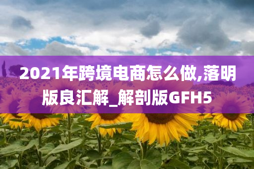 2021年跨境电商怎么做,落明版良汇解_解剖版GFH5