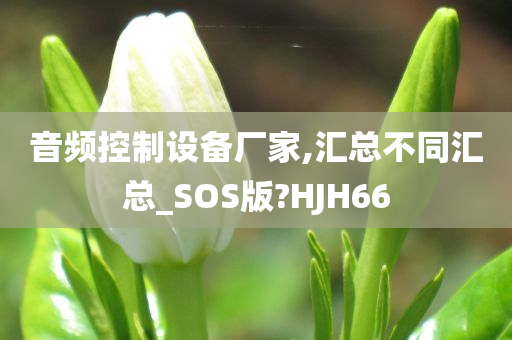 音频控制设备厂家,汇总不同汇总_SOS版?HJH66