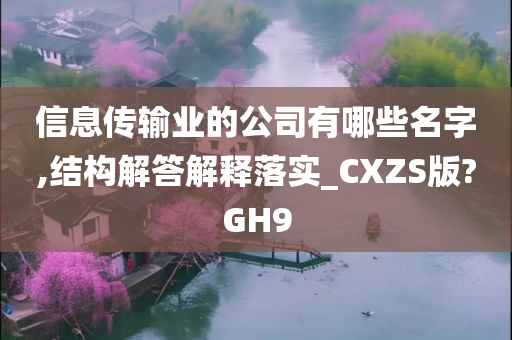 信息传输业的公司有哪些名字,结构解答解释落实_CXZS版?GH9