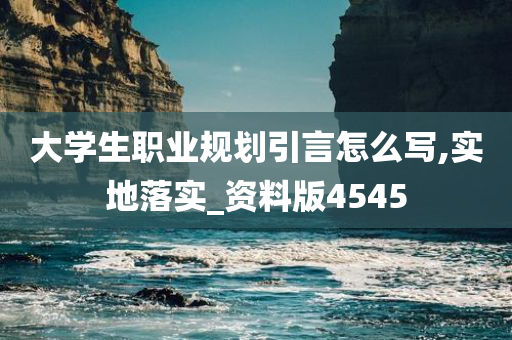 大学生职业规划引言怎么写,实地落实_资料版4545