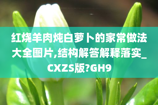 红烧羊肉炖白萝卜的家常做法大全图片,结构解答解释落实_CXZS版?GH9