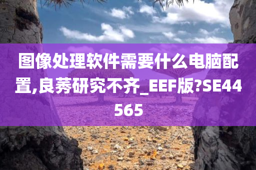 图像处理软件需要什么电脑配置,良莠研究不齐_EEF版?SE44565