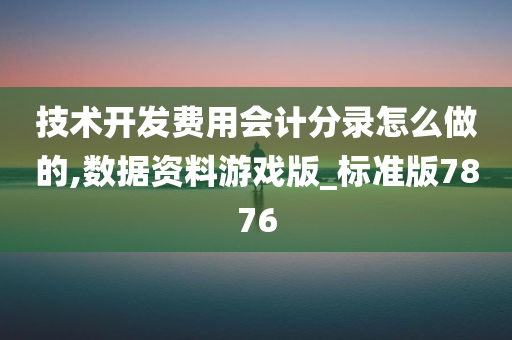 技术开发费用会计分录怎么做的,数据资料游戏版_标准版7876