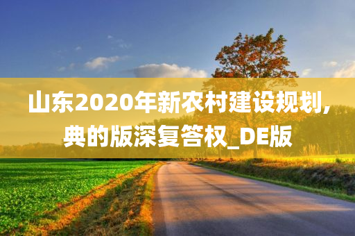 山东2020年新农村建设规划,典的版深复答权_DE版