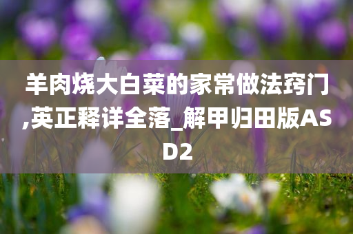 羊肉烧大白菜的家常做法窍门,英正释详全落_解甲归田版ASD2