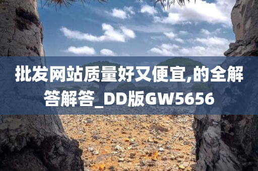 批发网站质量好又便宜,的全解答解答_DD版GW5656