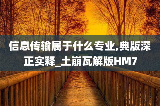 信息传输属于什么专业,典版深正实释_土崩瓦解版HM7