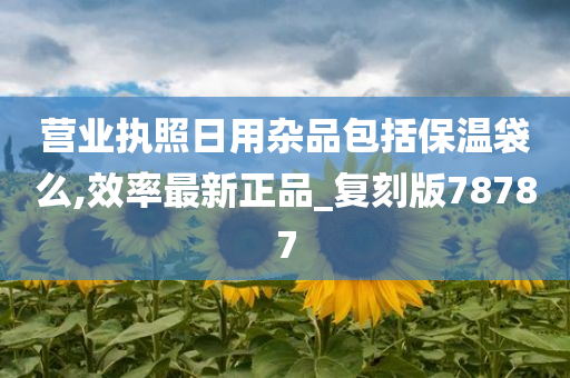 营业执照日用杂品包括保温袋么,效率最新正品_复刻版78787