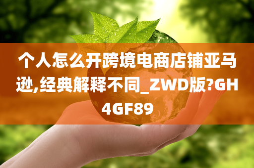 个人怎么开跨境电商店铺亚马逊,经典解释不同_ZWD版?GH4GF89