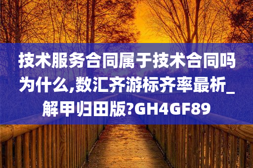 技术服务合同属于技术合同吗为什么,数汇齐游标齐率最析_解甲归田版?GH4GF89