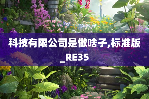 科技有限公司是做啥子,标准版_RE35