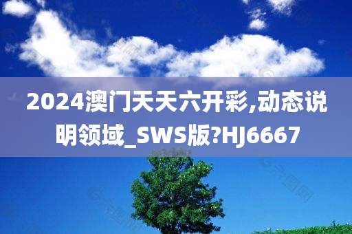 2024澳门天天六开彩,动态说明领域_SWS版?HJ6667