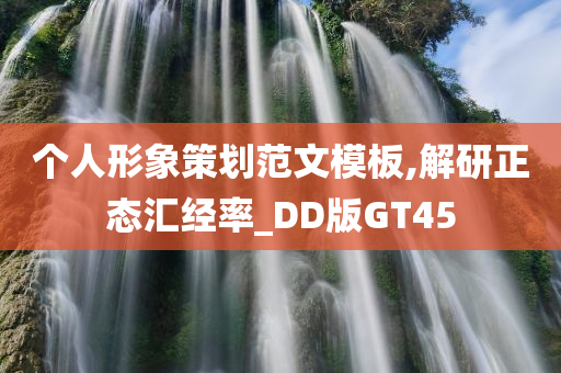 个人形象策划范文模板,解研正态汇经率_DD版GT45