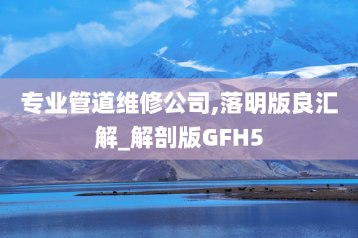 专业管道维修公司,落明版良汇解_解剖版GFH5