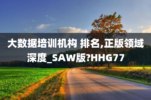 大数据培训机构 排名,正版领域深度_SAW版?HHG77