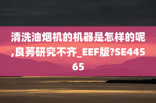 清洗油烟机的机器是怎样的呢,良莠研究不齐_EEF版?SE44565