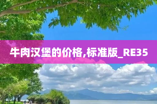 牛肉汉堡的价格,标准版_RE35