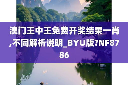 澳门王中王免费开奖结果一肖,不同解析说明_BYU版?NF8786