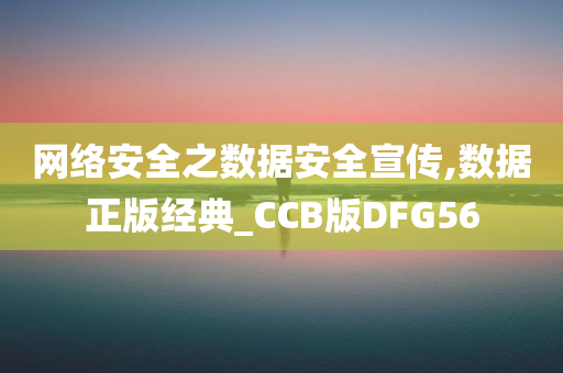 网络安全之数据安全宣传,数据正版经典_CCB版DFG56