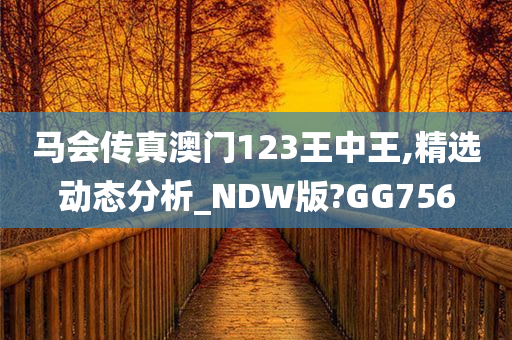 马会传真澳门123王中王,精选动态分析_NDW版?GG756