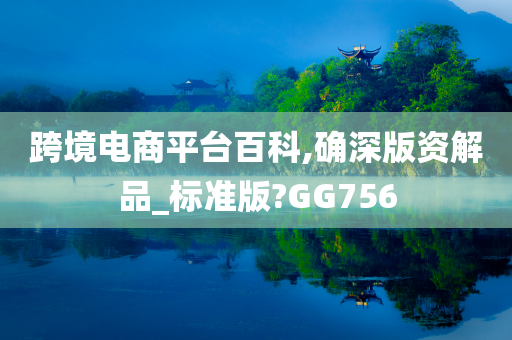 跨境电商平台百科,确深版资解品_标准版?GG756