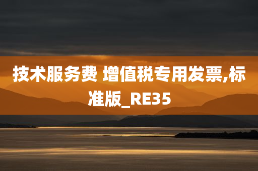 技术服务费 增值税专用发票,标准版_RE35