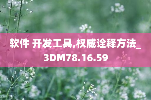 软件 开发工具,权威诠释方法_3DM78.16.59