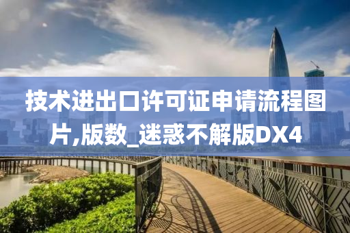 技术进出口许可证申请流程图片,版数_迷惑不解版DX4