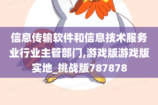 信息传输软件和信息技术服务业行业主管部门,游戏版游戏版实地_挑战版787878