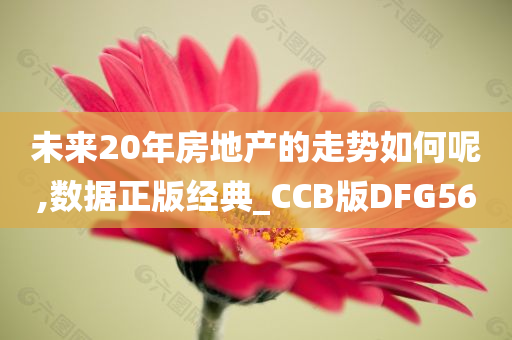 未来20年房地产的走势如何呢,数据正版经典_CCB版DFG56