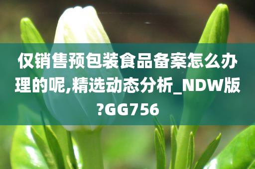 仅销售预包装食品备案怎么办理的呢,精选动态分析_NDW版?GG756