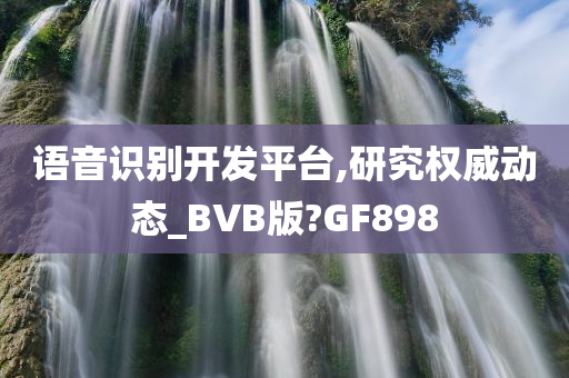 语音识别开发平台,研究权威动态_BVB版?GF898